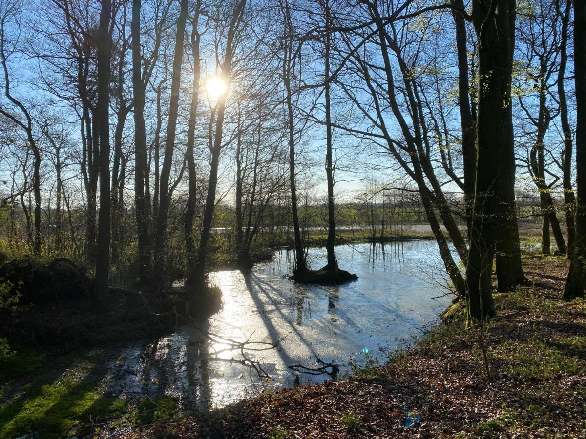 Nyopfort Luksusvaerelse I Naturskonne Og Rolige Omgivelser Branderup エクステリア 写真