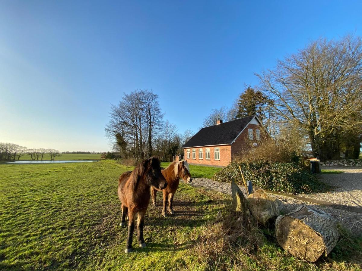 Nyopfort Luksusvaerelse I Naturskonne Og Rolige Omgivelser Branderup エクステリア 写真